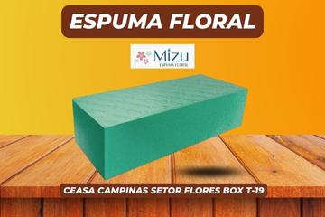 Espuma Floral Mizu em Campinas